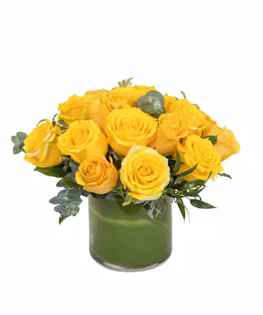 Sunny Yellow Roses in Boston, MA