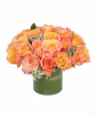 Free Spirit Rose Cylinder