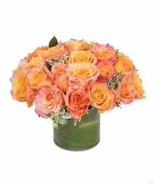 Free Spirit Rose Cylinder