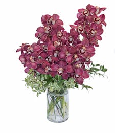 Burgundy Cymbidium Orchids