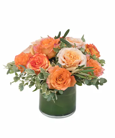 Autumn Roses in Boston, MA