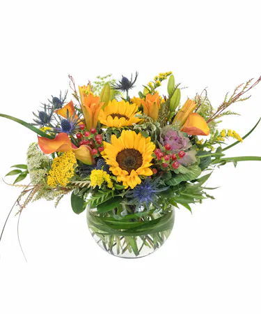 Autumn in the Park in Boston, MA