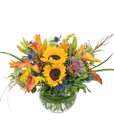 Autumn in the Park in Boston, MA