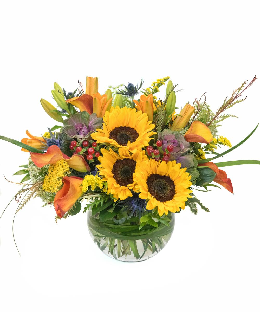 Autumn in the Park in Boston, MA Central Square Florist