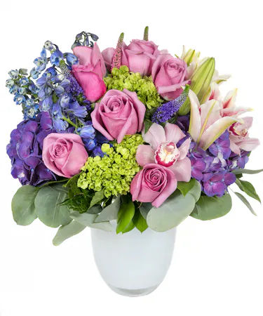 Majestic Blooms in Boston, MA