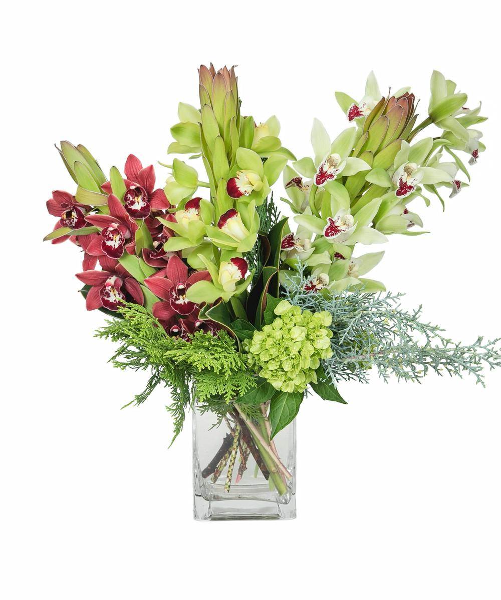 Christmas Flowers & Gift Delivery Boston (MA) Central Square Florist