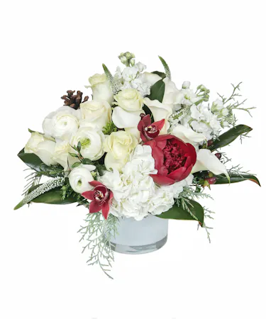 Winter Warmth in Boston, MA