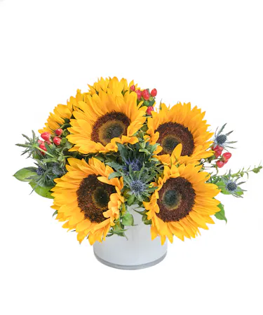 Autumn Sunshine in Boston, MA