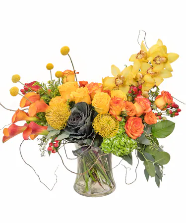 Autumn Grandeur in Boston, MA