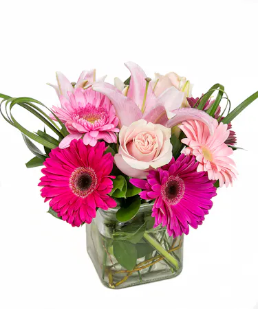 Perfect for a girly girl who loves pink or a new baby girl! A clear glass cube comprised of gerbera, roses and stargazer lilies