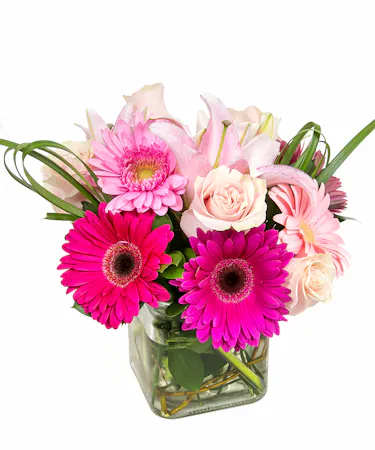 Perfect for a girly girl who loves pink or a new baby girl! A clear glass cube comprised of gerbera, roses and stargazer lilies