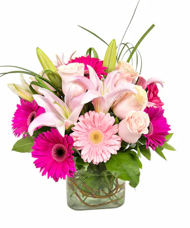 Perfect for a girly girl who loves pink or a new baby girl! A clear glass cube comprised of gerbera, roses and stargazer lilies