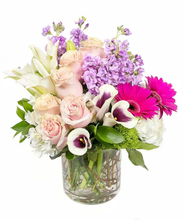 Lovely Lady in Boston, MA