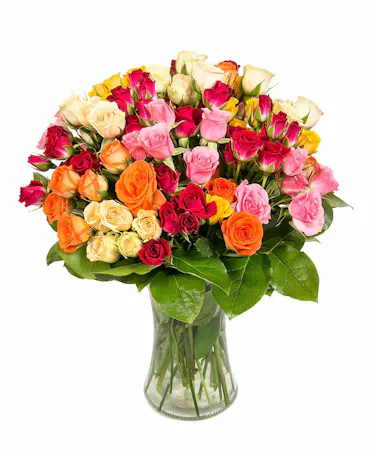 Spray Roses in Boston, MA