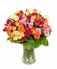 Delicate Roses
