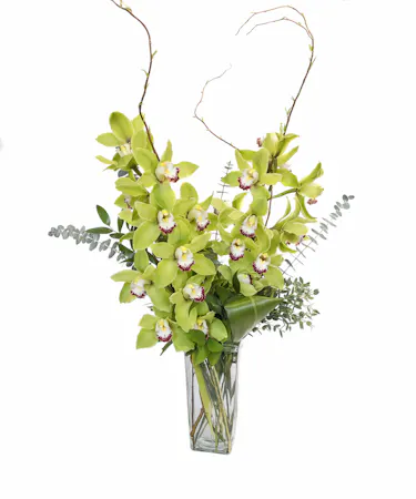 Cymbidium Orchid Vase 