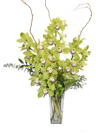 Cymbidium Orchid Vase 