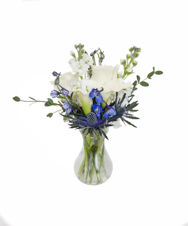 Blue & White Oversized Bud Vase in Boston, MA!