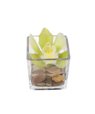 Mini Floating Orchid Cube