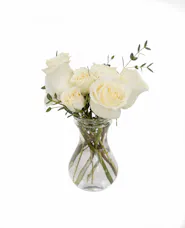 Rose Oversized Bud Vase