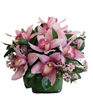 Cube of Pink Orchids