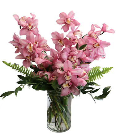 Pink Cymbidium Orchid Vase in Boston, MA