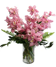 Pink Cymbidium Orchid Vase