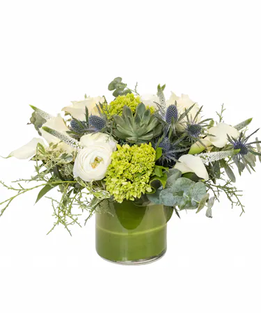 Serene Style in Boston, MA