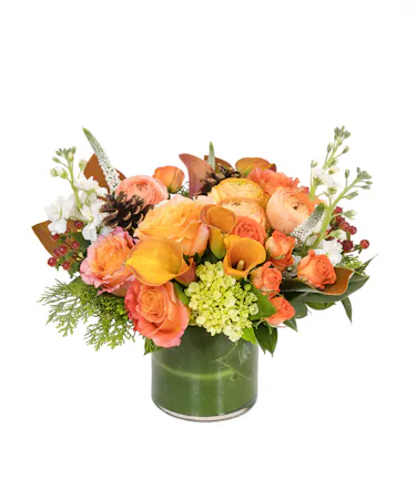 Citrus Holiday in Boston, MA