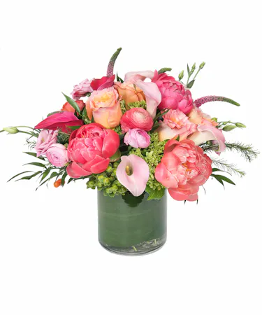 Spring Tangerine Dreams in Boston, MA