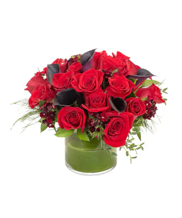 Red Passion in Boston, MA