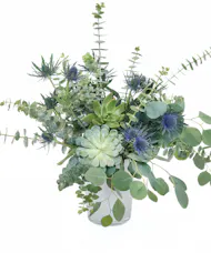 Eucalyptus & Succulent Design