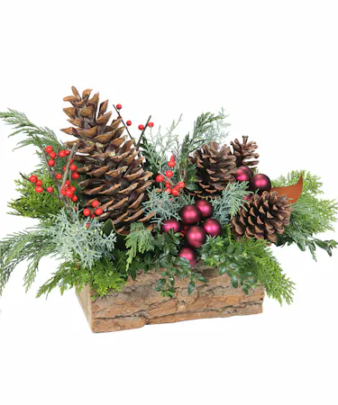 Everlasting Holiday in Boston, MA