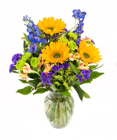 Fields of Summer in Boston, MA