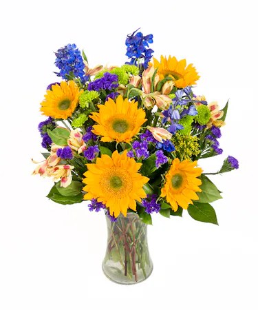 Fields of Summer in Boston, MA