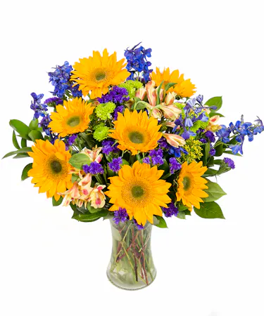 Fields of Summer in Boston, MA