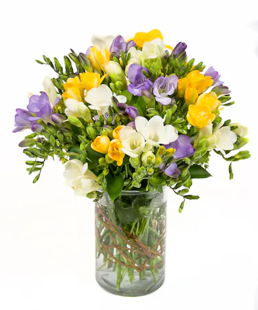 Freesia vase of blooms