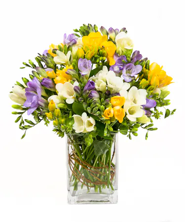 Freesia vase of blooms
