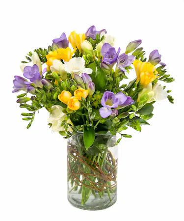 Freesia vase of blooms