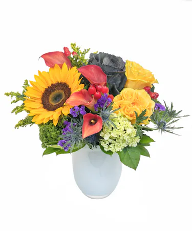 Feels Like Fall in Boston, MA