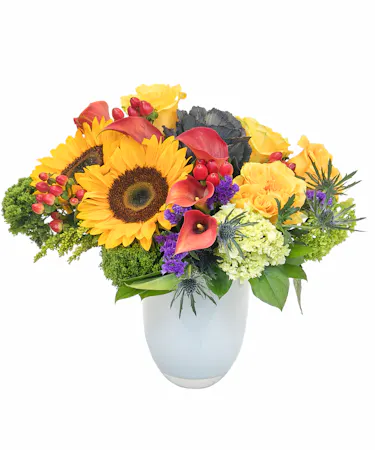 Feels Like Fall in Boston, MA