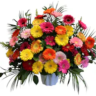 Gerbera Daisy Basket