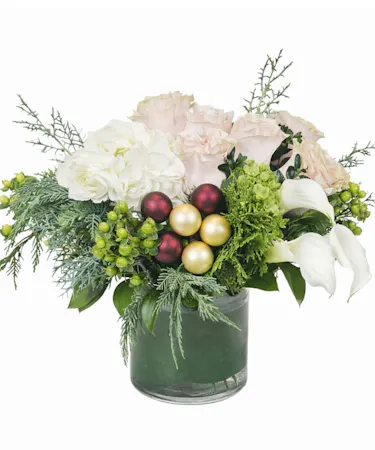 Holiday Blush in Boston, MA