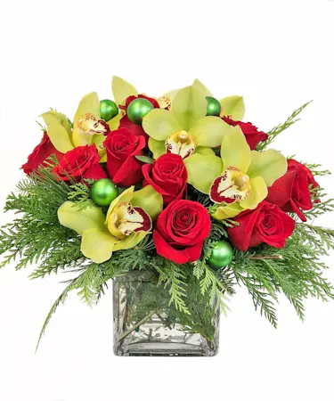 A Modern Holiday in Boston, MA