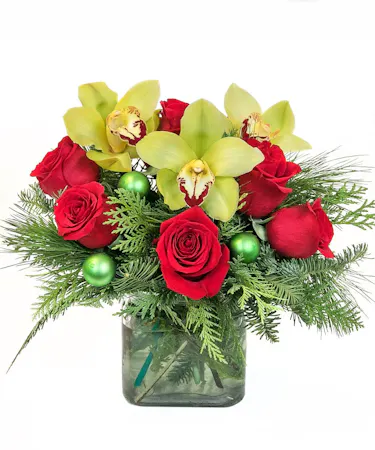 A Modern Holiday in Boston, MA