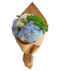 Hydrangea Bunch