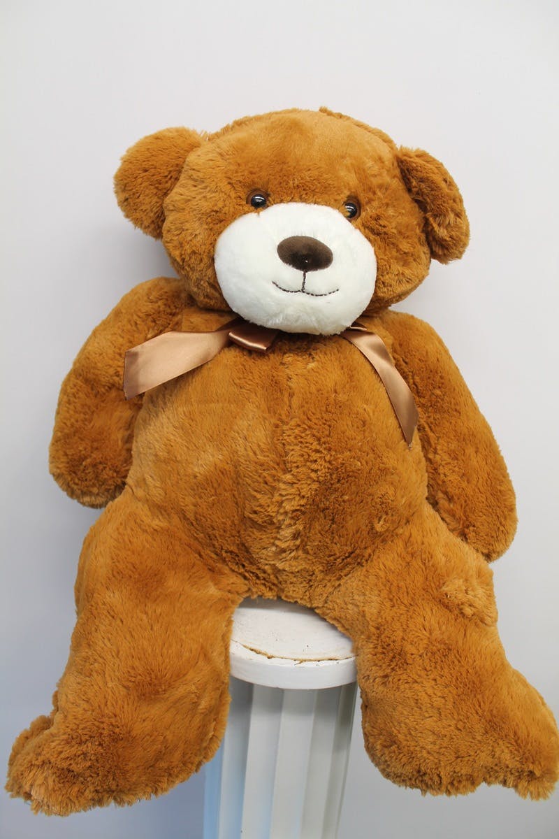 where can you buy big teddy bears