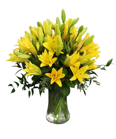 Lily Sunshine in Boston, MA