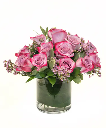 Purple Roses Boston, MA - Same-day Delivery - Central Square Florist