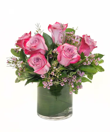 Purple Roses Boston, MA - Same-day Delivery - Central Square Florist